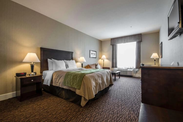 Comfort Inn & Suites Surrey Hotel photo 5