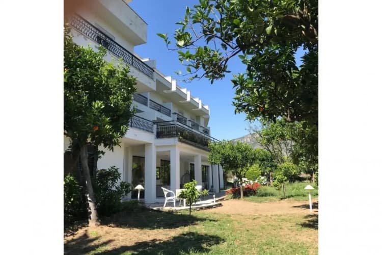 Hotel Alpha photo 2