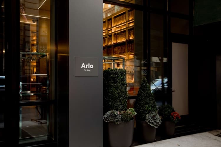 Arlo Nomad, photo 2
