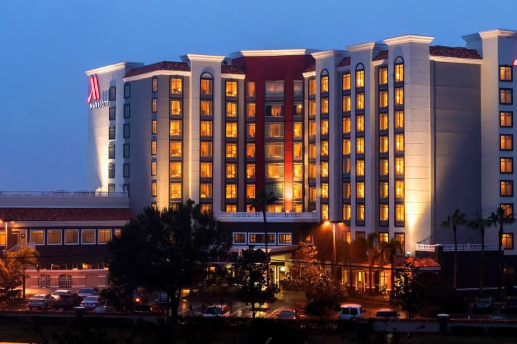St. Petersburg Marriott Clearwater photo 2