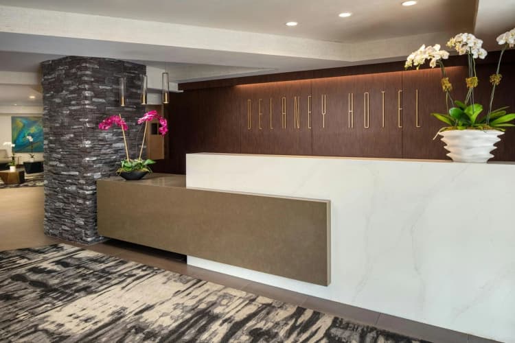 The Delaney Hotel photo 3