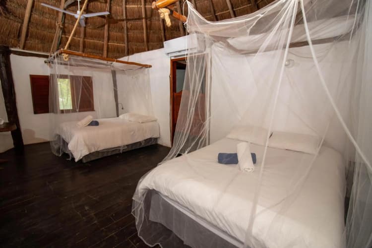 Blue Holbox photo 2