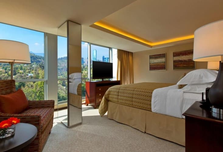 Sheraton Santiago Hotel And Convention Center, photo 4