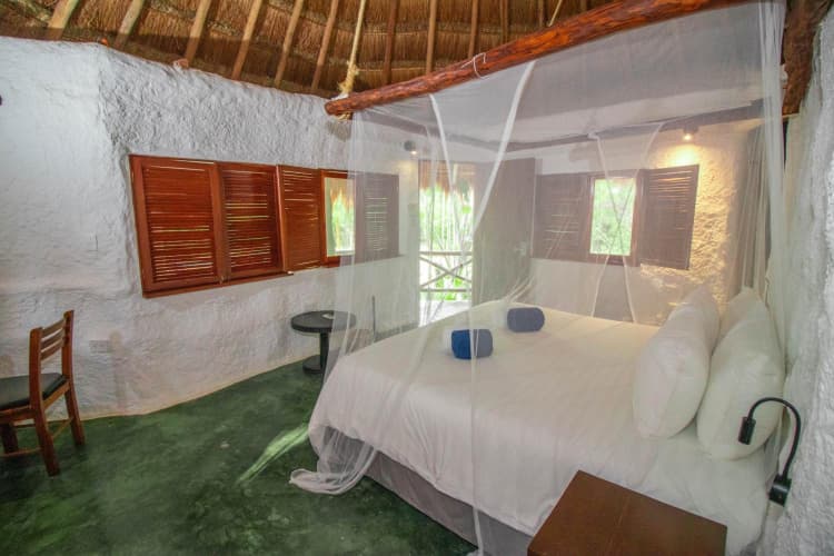 Blue Holbox photo 4