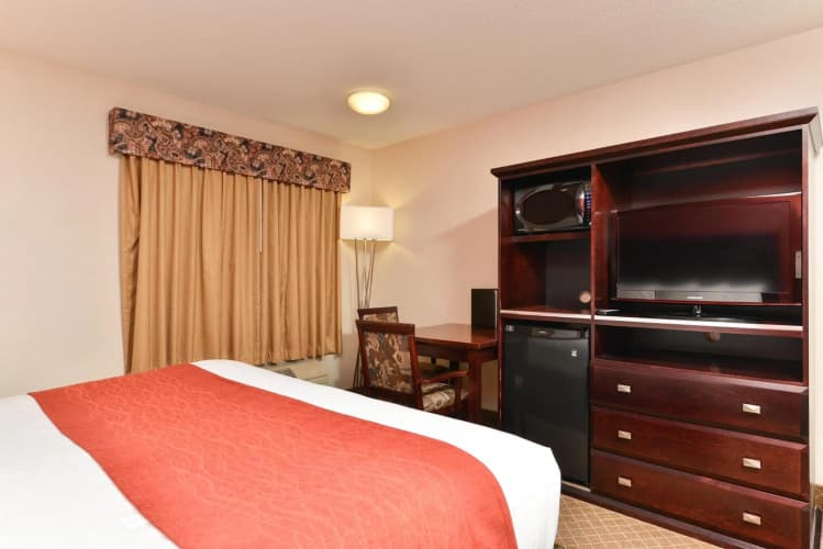 Comfort Inn & Suites Airport photo 4
