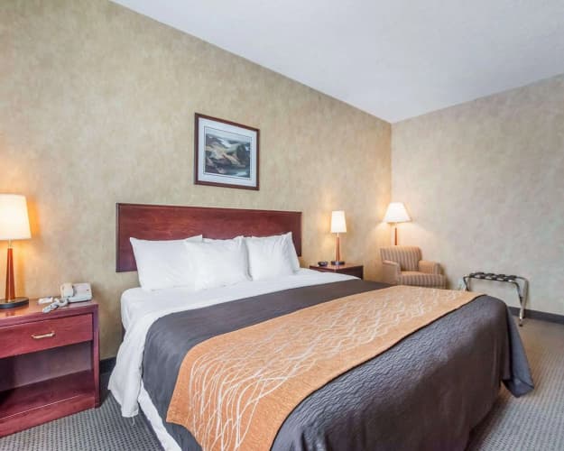 Comfort Inn Sturgeon Falls, photo 4