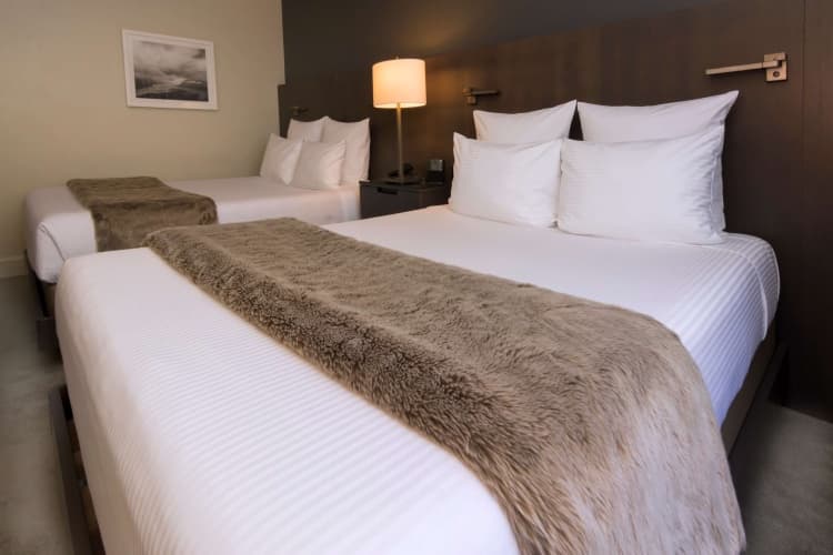 The Benson Portland, Curio Collection by Hilton, photo 5