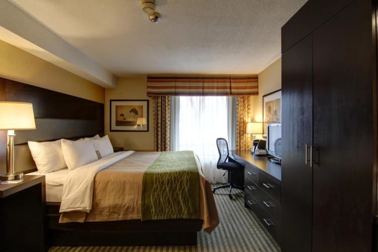 Comfort Inn Chatham photo 5