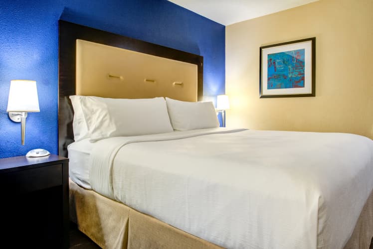 Holiday Inn Indianapolis North - Carmel photo 5