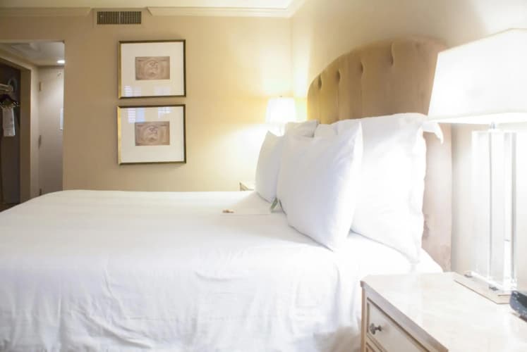 Dauphine Orleans Hotel photo 3