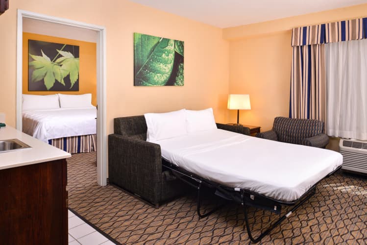 Holiday Inn and Suites Chicago Downtown photo 4