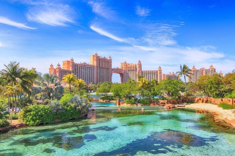 The Royal at Atlantis photo 2