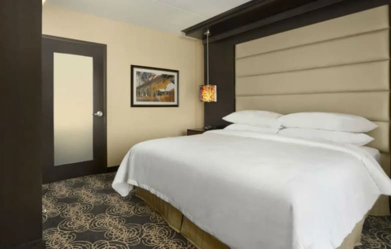Embassy Suites by Hilton Knoxville West photo 4