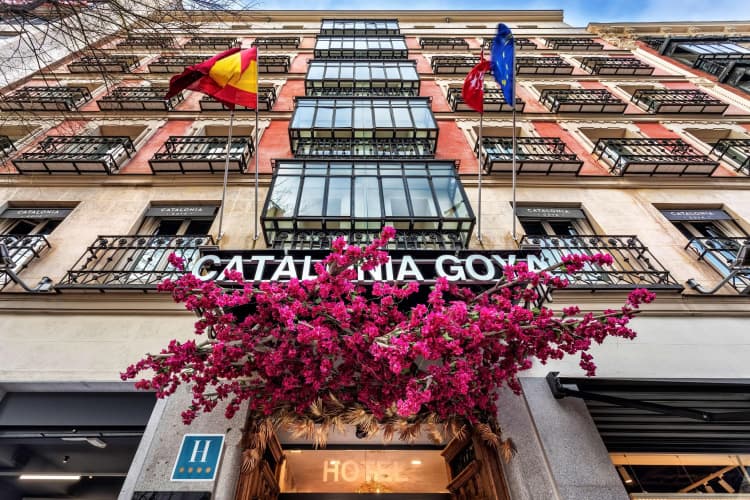 Catalonia Goya photo 2
