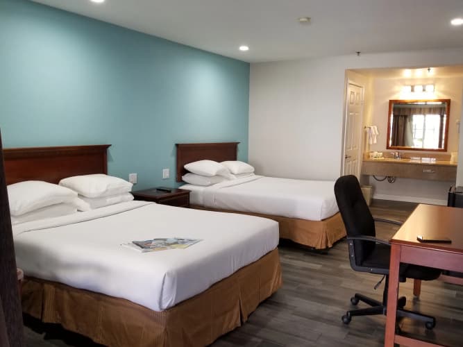 The Wave Hotel photo 5