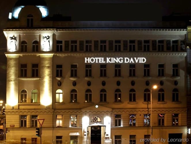 King David photo 2
