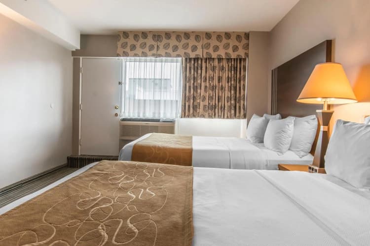 Comfort Suites Downtown photo 5