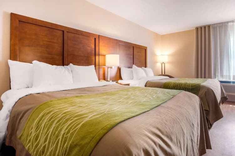Comfort Inn & Suites photo 4