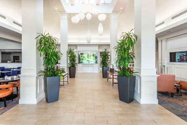 Hilton Garden Inn Orlando at SeaWorld photo 4