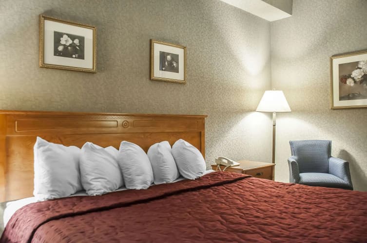 Comfort Inn Lundy's Lane, photo 4