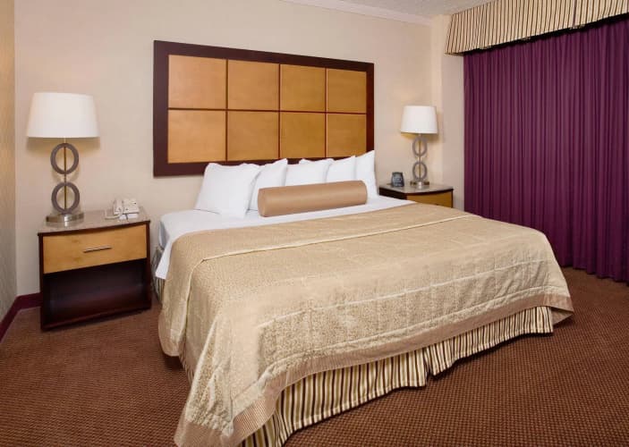Embassy Suites by Hilton Dallas Love Field photo 4