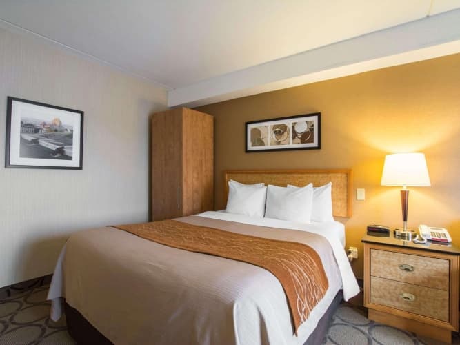 Comfort Inn Airport East photo 5