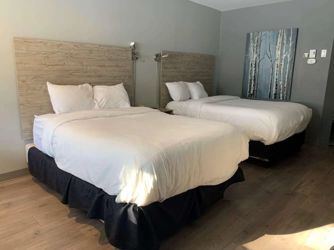 Dannys Hotel Suites, Surestay Collection By Best Western photo 4