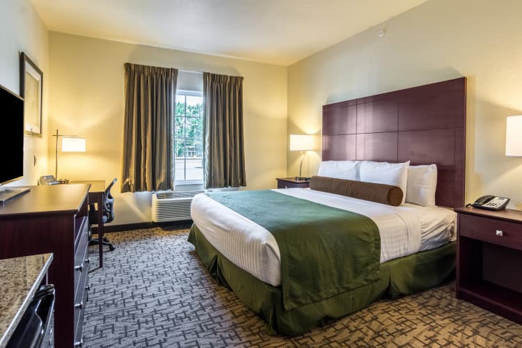 Cobblestone Hotel & Suites - Greenville photo 4