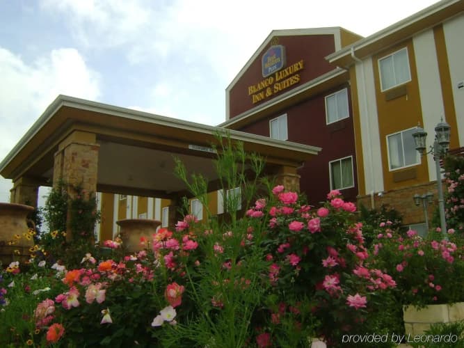 Blanco Luxury Inn & Suites photo 2