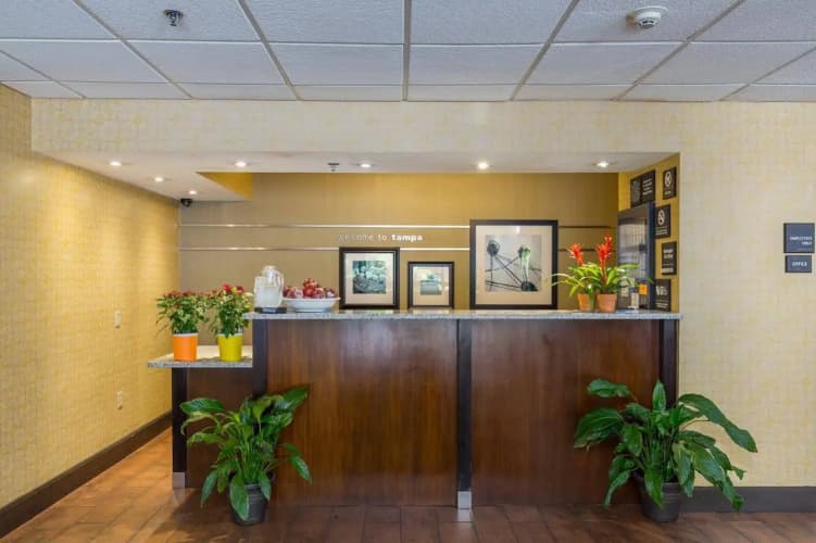 Spark by Hilton Tampa Brandon photo 3