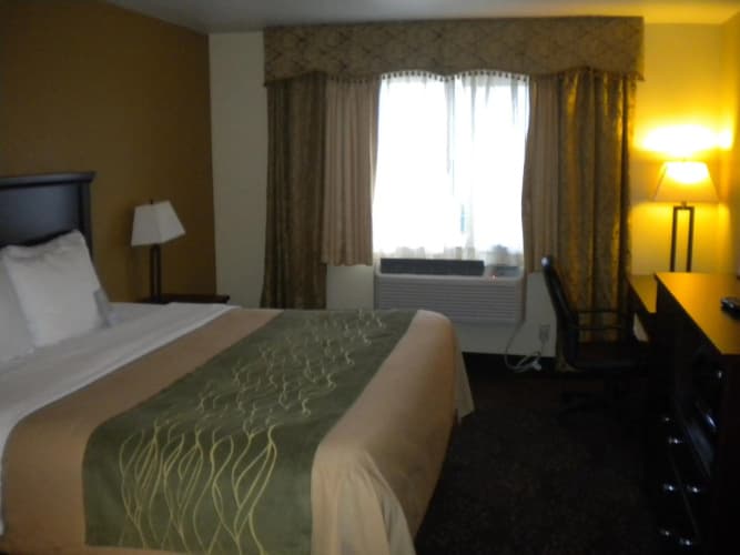 Comfort Inn Federal Way - Seattle photo 4