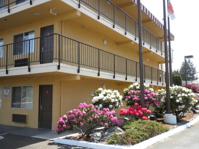 Morningglory Inn & Suites, photo 2