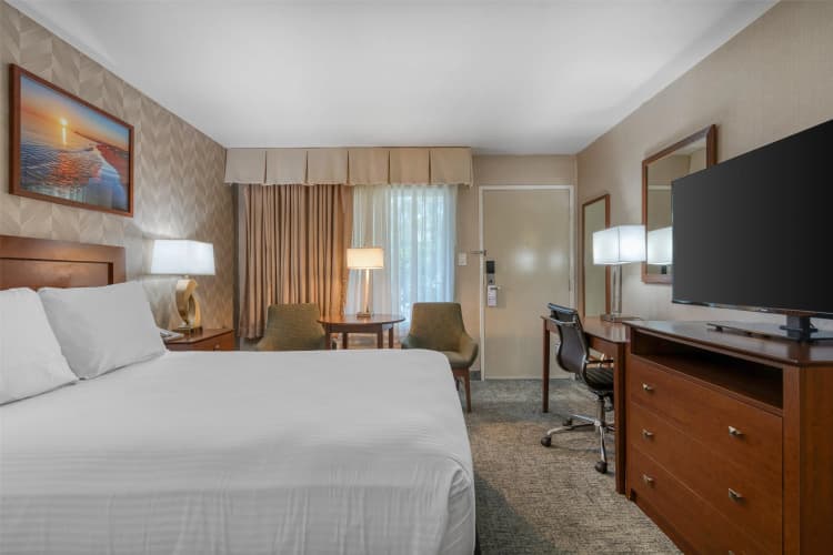Best Western Seven Seas photo 4