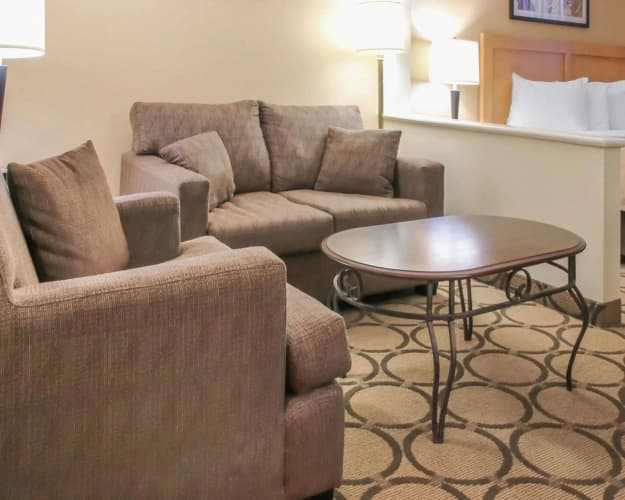 Comfort Inn South photo 4