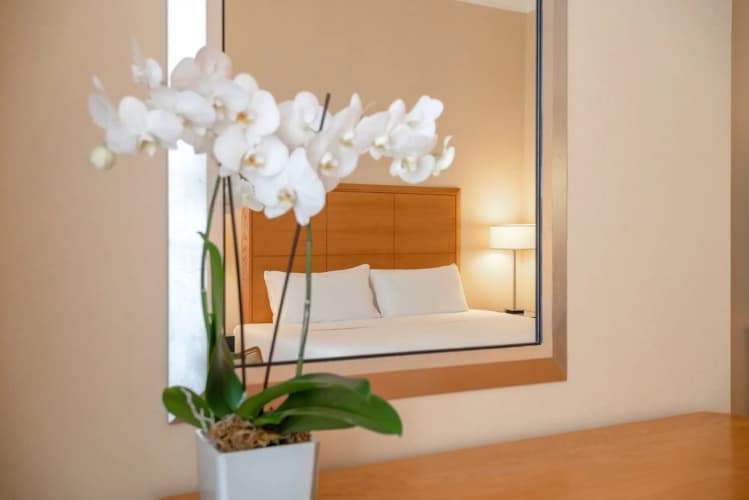 Room Mate Collection Mia Rome Colosseum, photo 5
