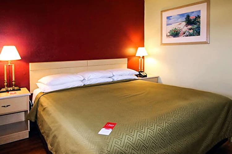 Econo Lodge  Inn & Suites Maingate Central photo 3