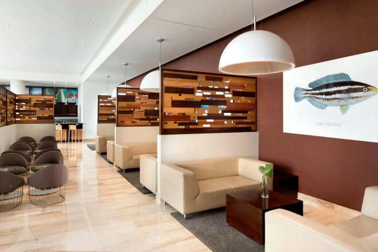 The Westin Puntacana Resort and Club photo 3