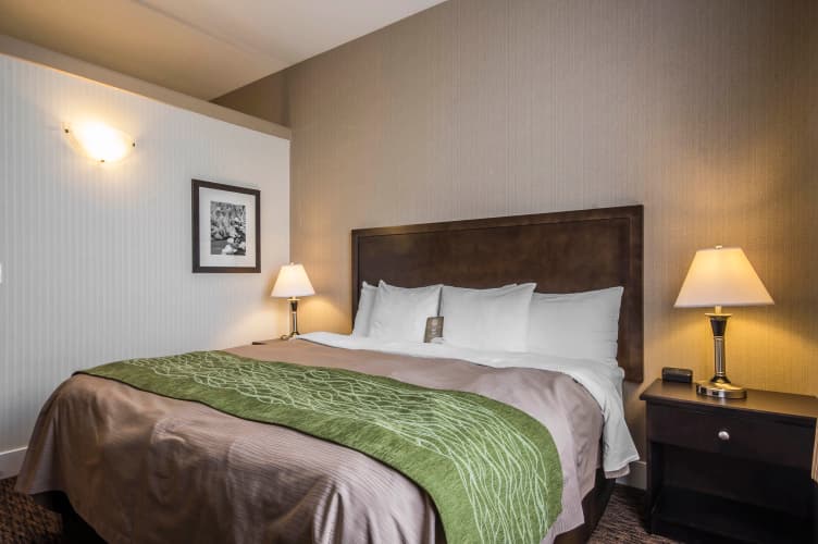 Comfort Inn & Suites Surrey Hotel photo 4