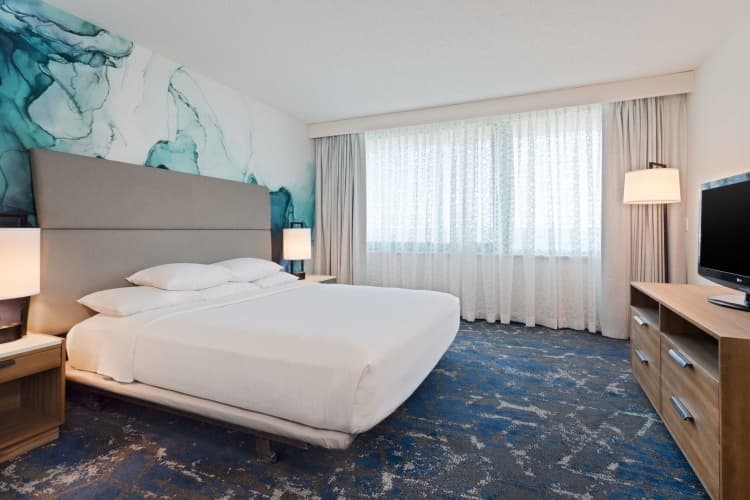 Embassy Suites by Hilton Tampa USF Near Busch Gardens photo 5