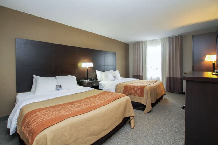 Comfort Inn photo 3