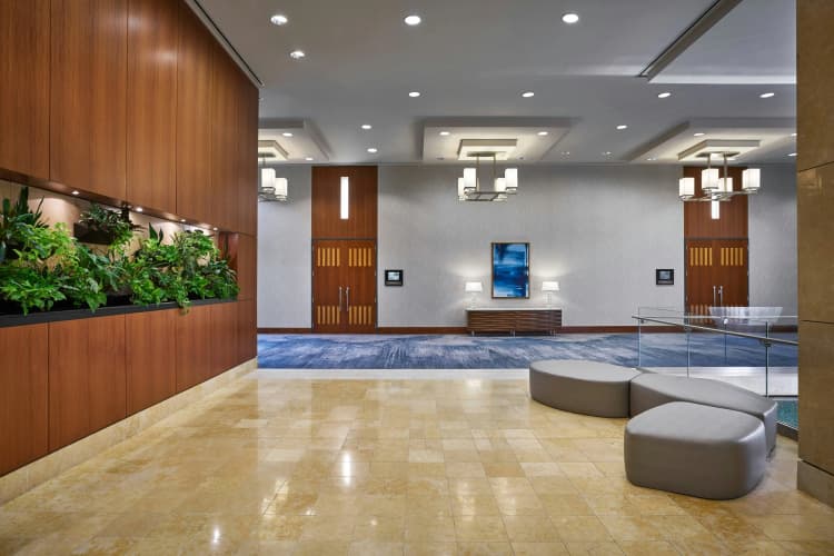 The Westin Virginia Beach Town Center photo 3