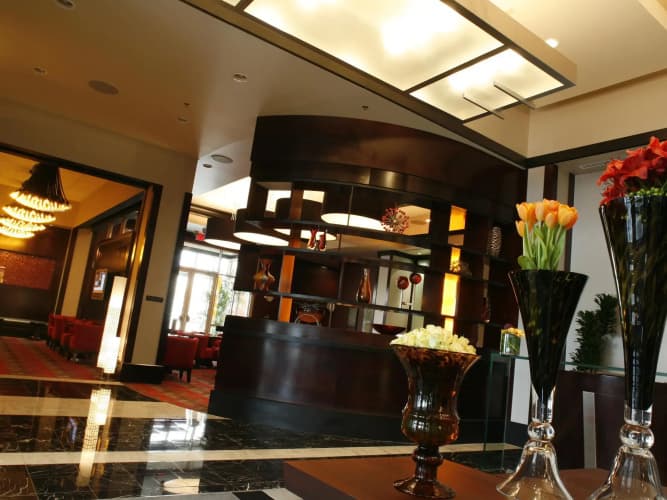 Platinum Hotel & Spa, photo 3