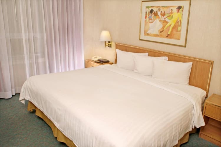 Travohotel Monterrey Historico, photo 5