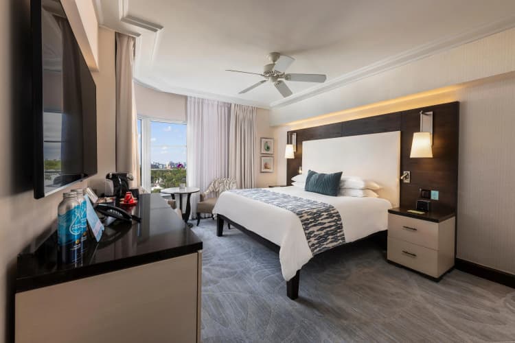 The Palms Hotel and Spa photo 4