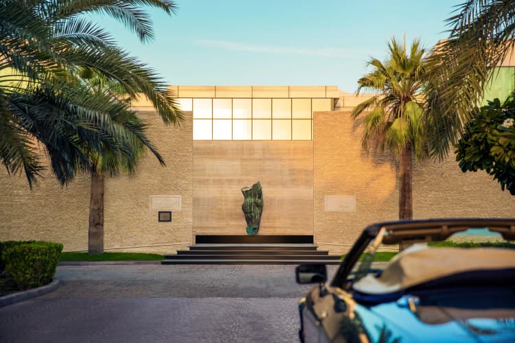 Melia Desert Palm Member Of Melia Collection photo 3