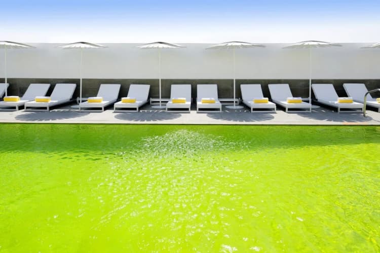Hues Boutique Hotel photo 3
