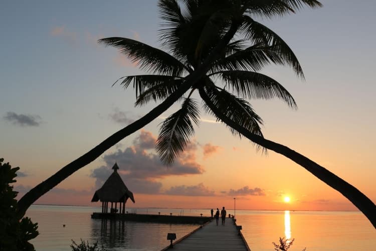 Canareef Resort Maldives, photo 3