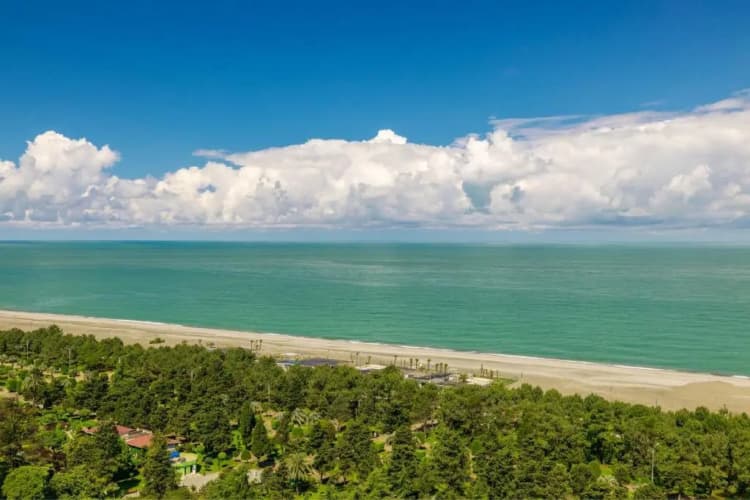 Sheraton Batumi photo 4