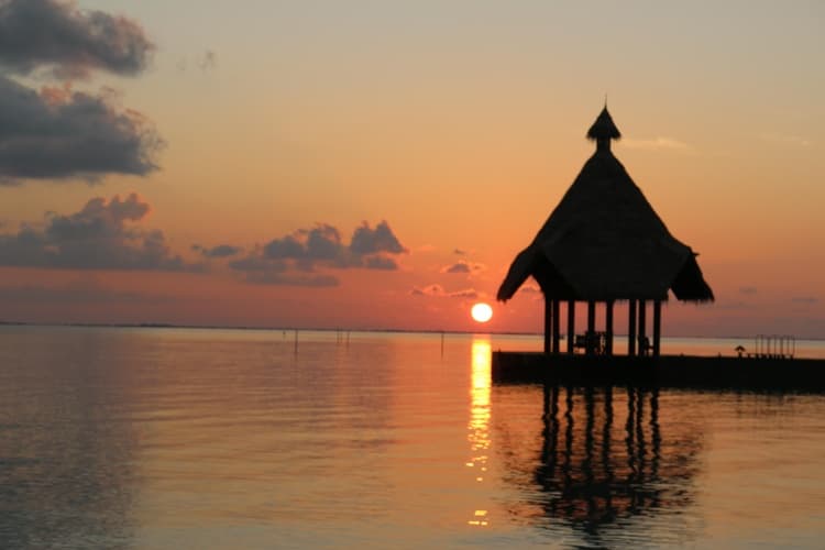 Canareef Resort Maldives, photo 4