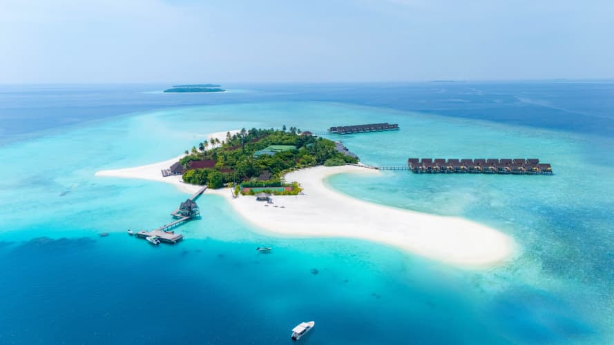 Dhigufaru Island Resort photo 2